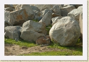 DSC_4272 Hiding in plain sight * 700 x 467 * (368KB)